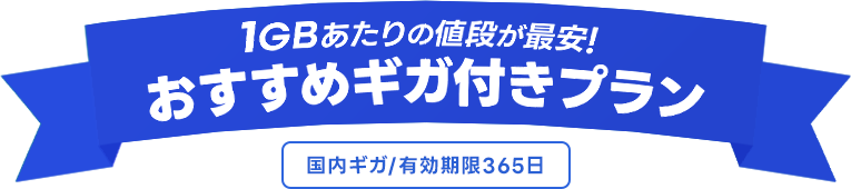 ギガ付きプラン本体+100ギガ365日